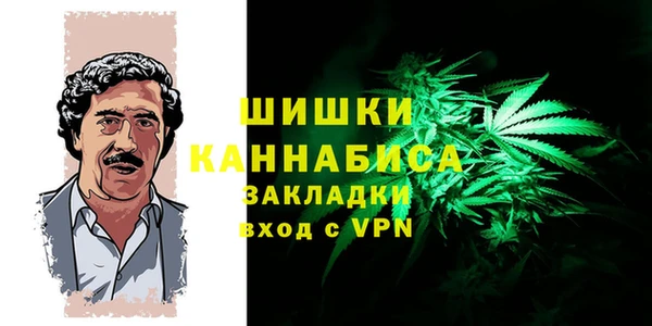 амф Касимов