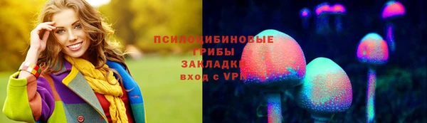 амф Касимов