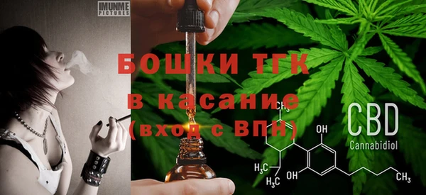 амф Касимов